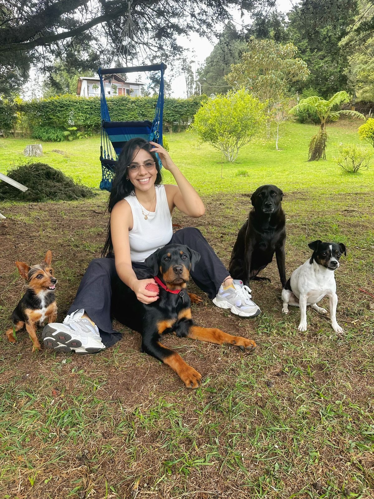Mujer sentada en el pasto con cuatro perros, en una zona verde con árboles