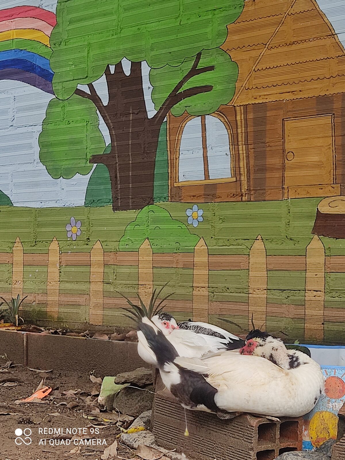 Patos descansando sobre unos ladrillos, frente a un mural con una casa de madera, un árbol y un arcoíris