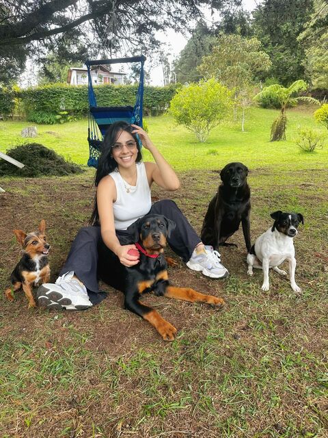 Mujer sentada en un prado verde acompañada de cuatro perros, con árboles y jardín al fondo