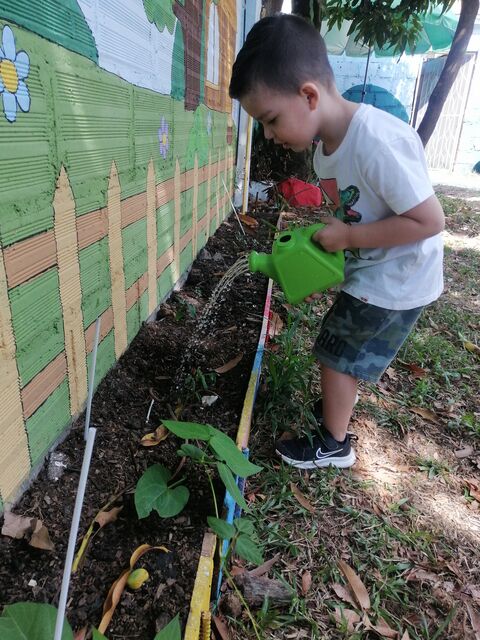 Niño regando las plantas de la huerta con una regadera verde, junto a un muro pintado de colores.